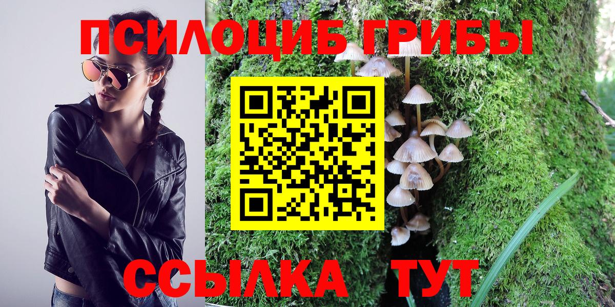 Фурманов  Псилоцибиновые грибы ЛСД  Вход с VPN 